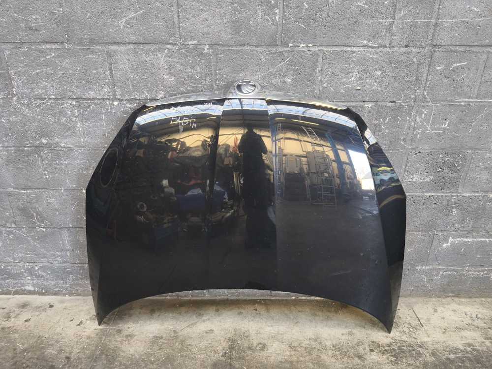 CAPOT SKODA FABIA / ROOMSTER 2010-2015 - Vue 1